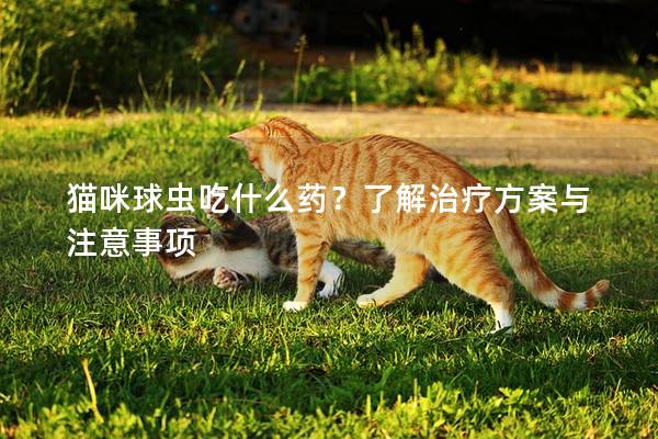 貓咪球蟲吃什么藥？了解治療方案與注意事項(xiàng)