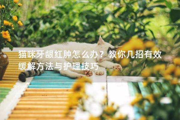 貓咪牙齦紅腫怎么辦？教你幾招有效緩解方法與護理技巧