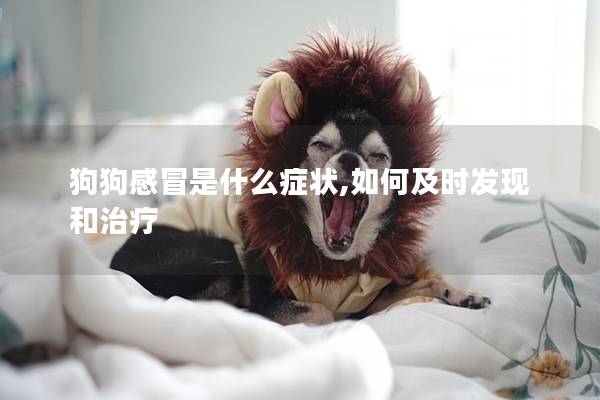 狗狗感冒是什么癥狀,如何及時發現和治療