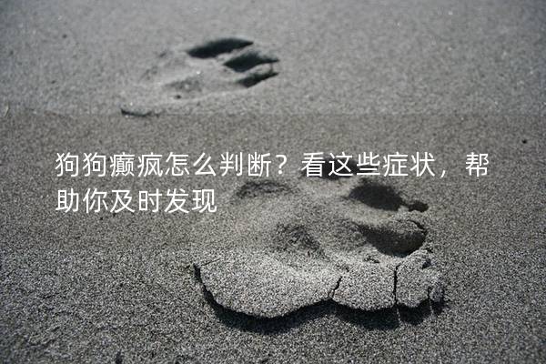 狗狗癲瘋怎么判斷？看這些癥狀，幫助你及時發現