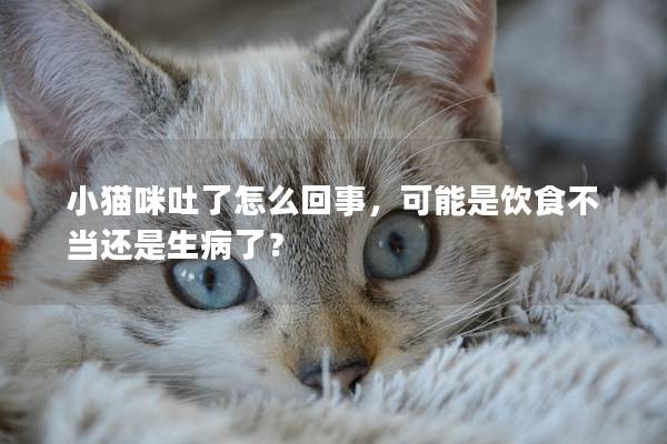 小貓咪吐了怎么回事，可能是飲食不當(dāng)還是生病了？