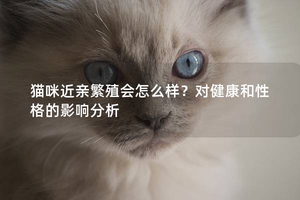 貓咪近親繁殖會(huì)怎么樣？對(duì)健康和性格的影響分析